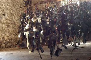 Ernest BreleurReconstitution d'une tribu perdue