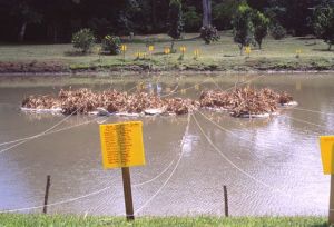 Hervé BeuzeZhabitans
