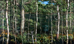 José Garcia Cordero La laguna verde 2012