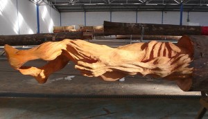 François Piquet L'atelier du Morne Rouge