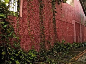 Thierry Alet Musée Saint John Perse Guadeloupe