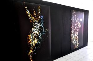 Les oeuvres de Shirley Rufin exposées à Aruba