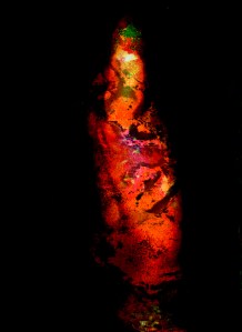 Shirley Rufin Chimères VIII