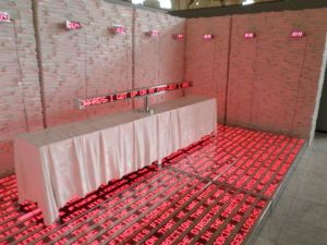 Biennale de Cuba 2O12