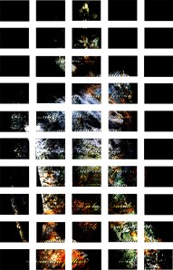 Shirley Rufin Essence 2013