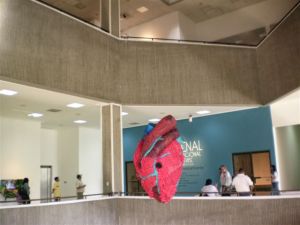 Hall du musée d'art modrene