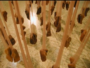 Raquel Païewonsky Levitando a solo un pie