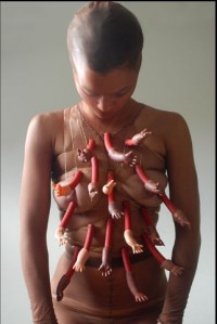 RAquel Païewonsky Mutantes 2003 -2006