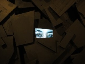 Belkis Ramirez Layers, detalle 2