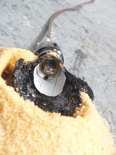 Nikolaï Noël Night and Sugar 2011