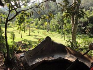 6Banc de Hugo França.