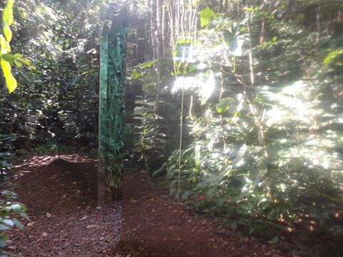 Vegetation room : parois réfléchissantes et porte