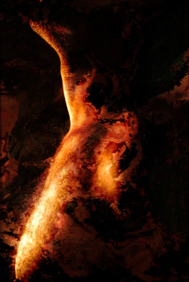 Shirley Rufin Ecorché