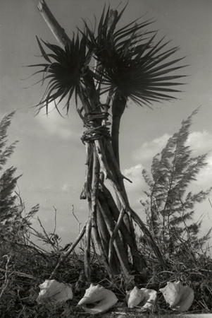 Blue Curry  No Worthy Monument   2008