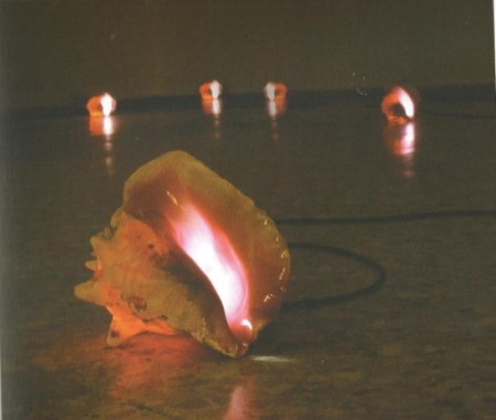 Blue Curry Triennale de République Dominicaine 2010