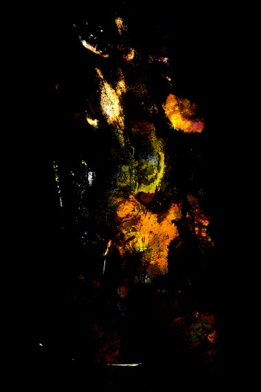 Shirley Rufin Chimère IV