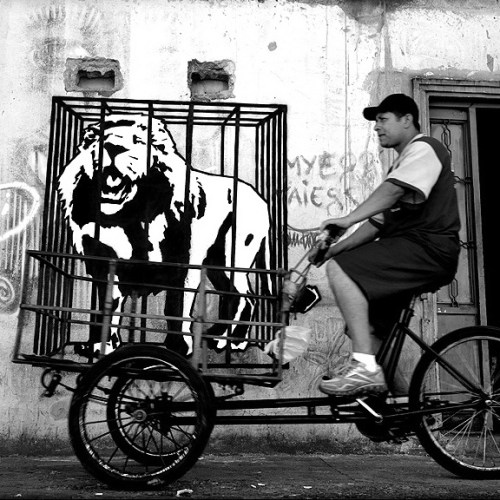  Metabiotica n° 24 , 2013 (la série a démarré en 2002)