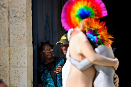 Parade nuptiale Iguanesque