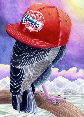 Coldsouth aquarelle sur papier 31 x 41 cm 2014