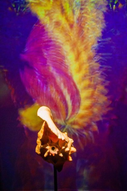 conque matilde bonne