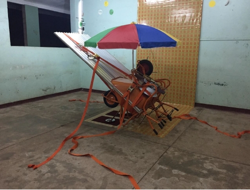 The ex Surinames, Tirzo Martha, Suriname, 2015, courtoisie de l’artiste