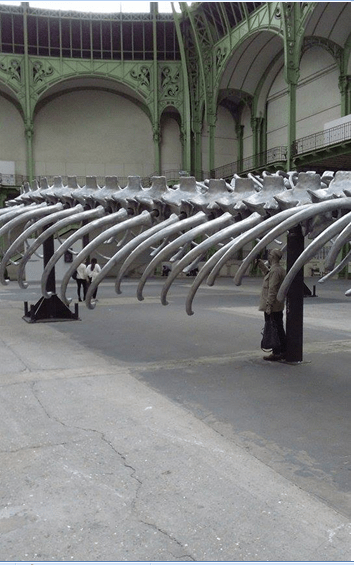 Huang Yong Ping, Empires, Monumenta 2016