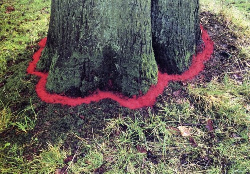 land-art-onf-andy-goldsworthy