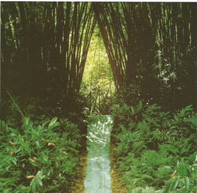 Nils Udo Porte de Bambous Dyptique part2 Résidence du Frac Martinique Ajoupa Bouillon 1991