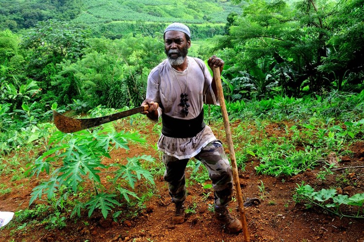 Roland Pavilla, dans son jardin du quartier Pain de Sucre. Marigot, Martinique, 18 juillet 20101.