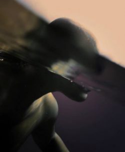 Nadia Huggins Untitled Fifhting the currents