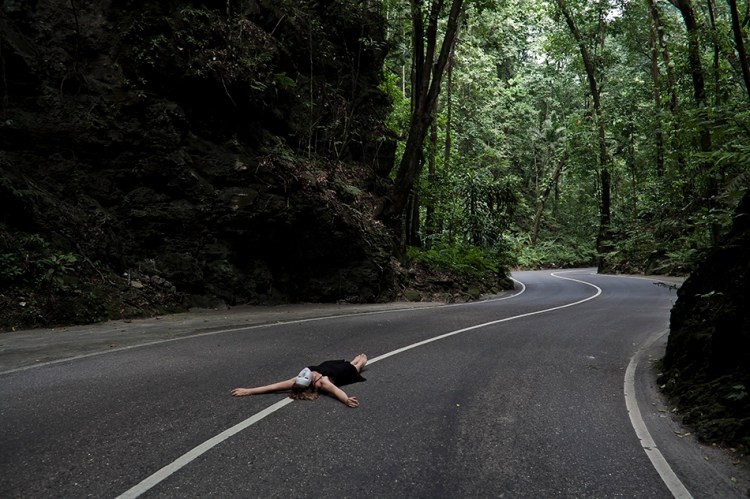 Série Withey Fern Gully