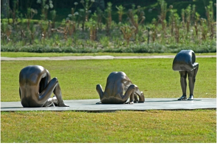 Edgar-de-Souza Inhotim