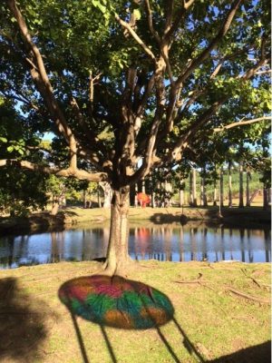 Daniel Buren l’attrape – soleil aux quatre couleurs Photo F Guilbaud